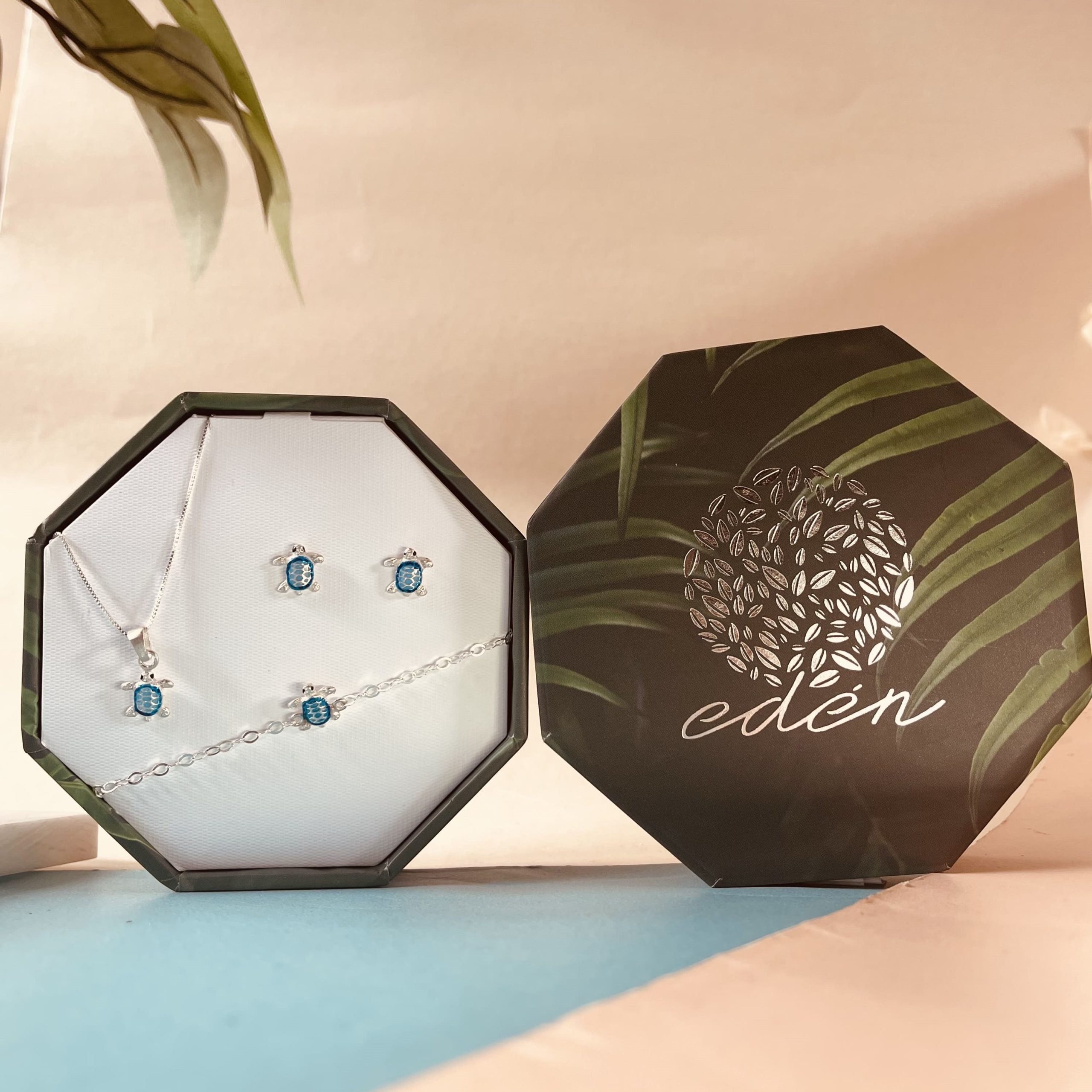 Set Juego Tortuga Azul