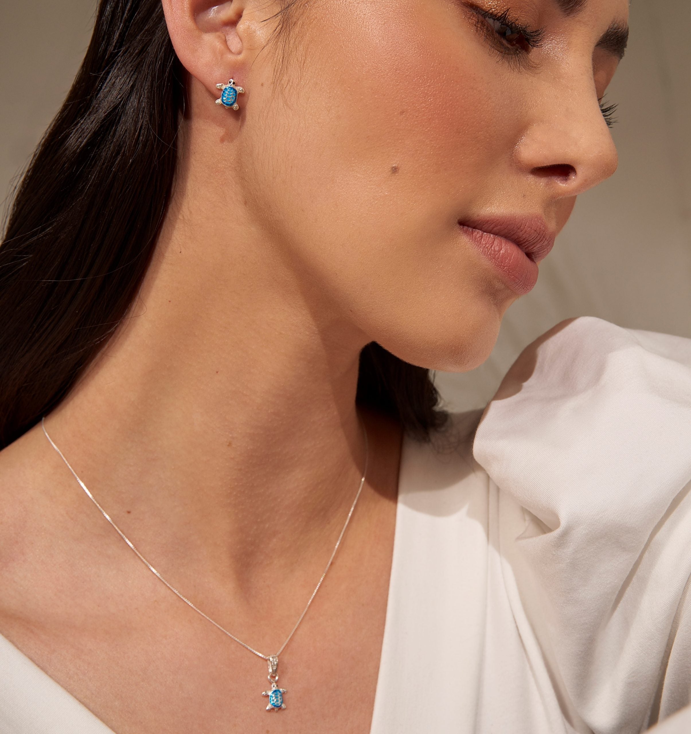 Set Juego Tortuga Azul