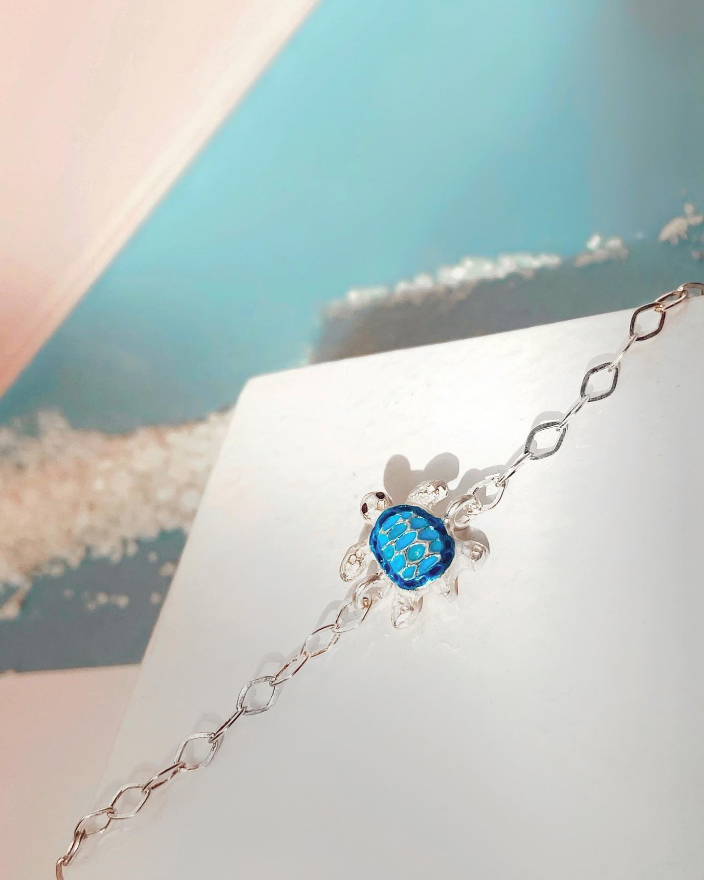 Set Juego Tortuga Azul