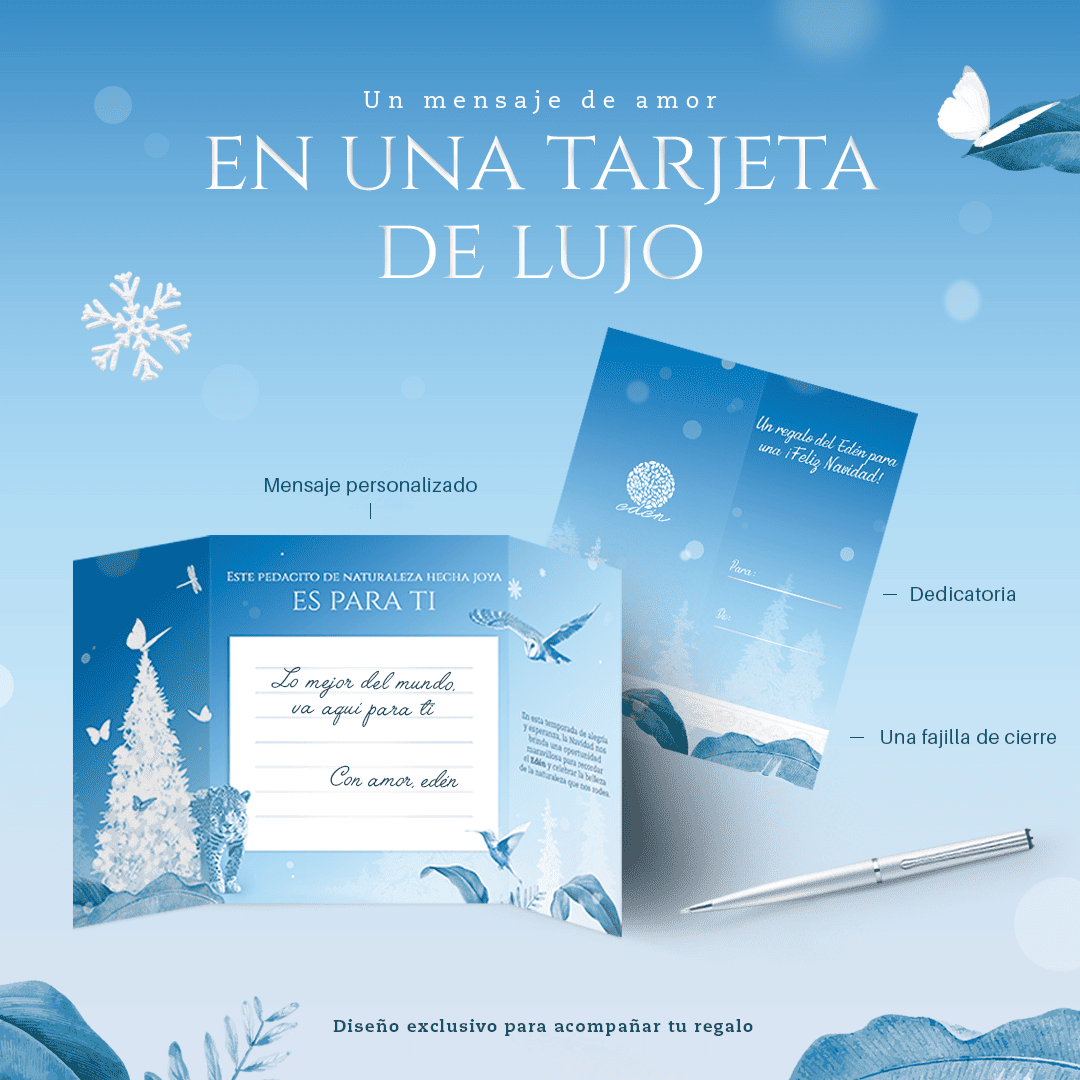 Aretes Guacamaya Mini