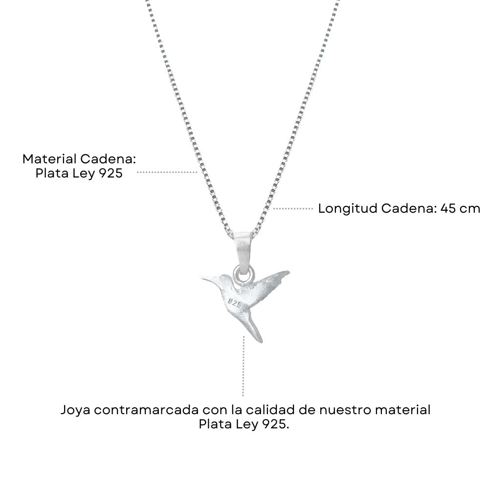 Juego Colibrí Violeta