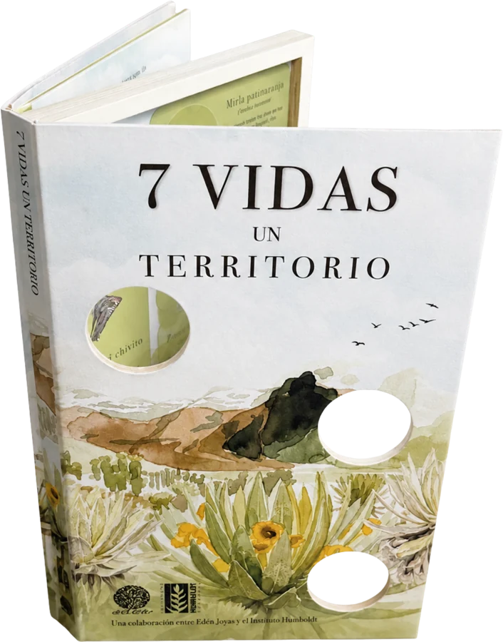 Libro 7 Vidas, Un Territorio