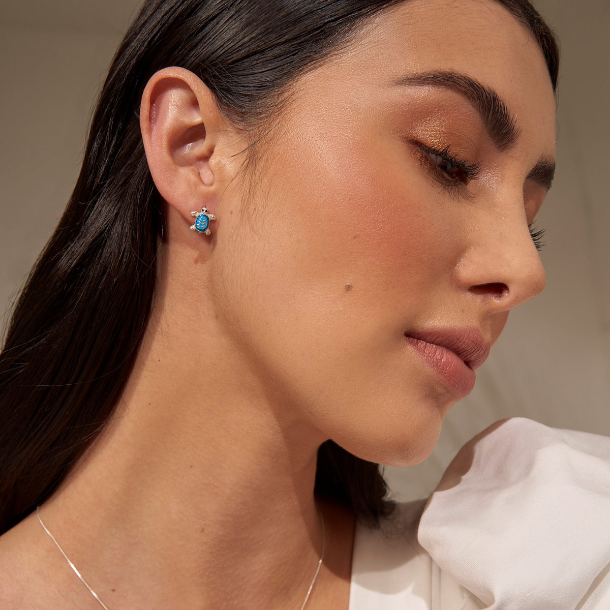 Aeretes Aretes