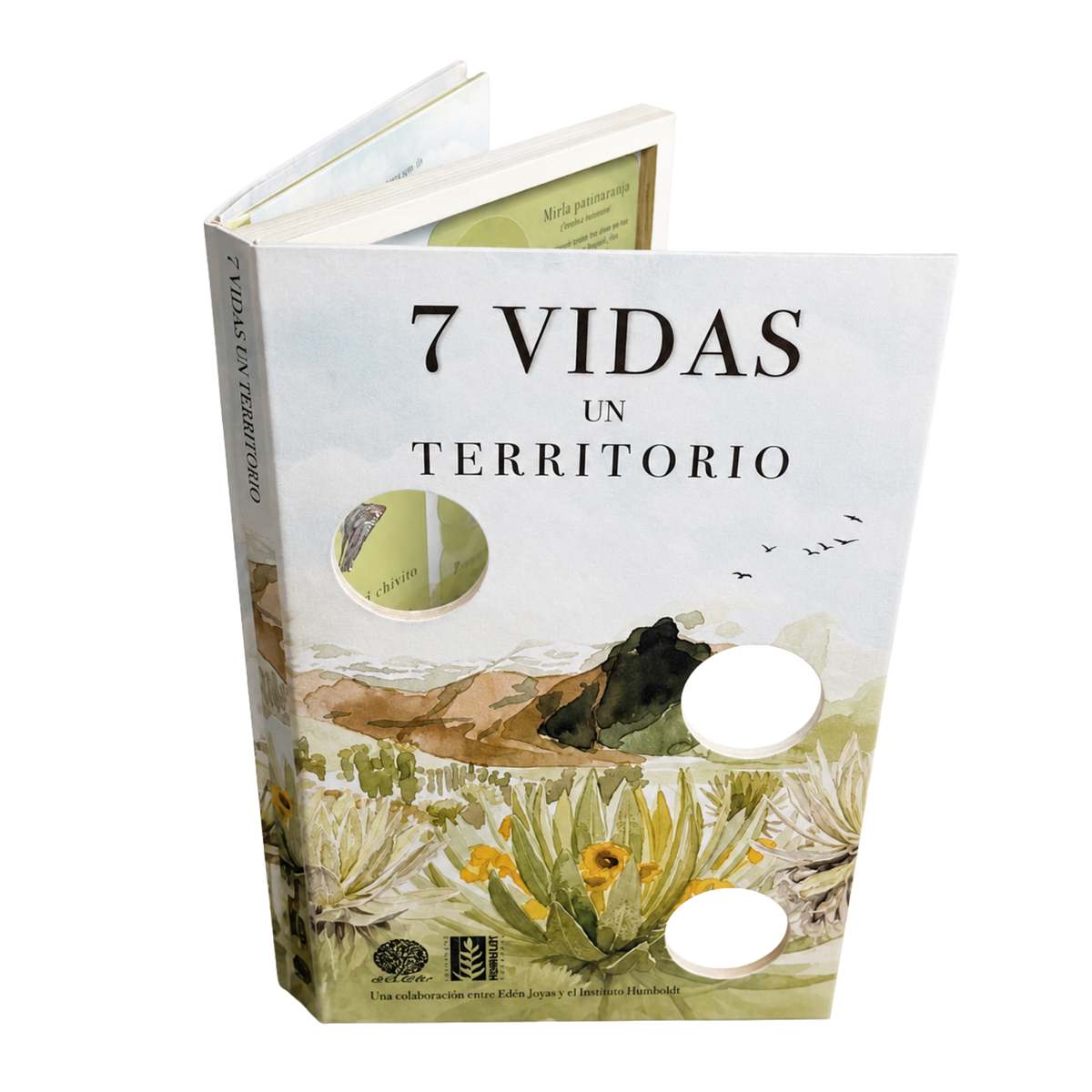 7 Vidas, Un Territorio
