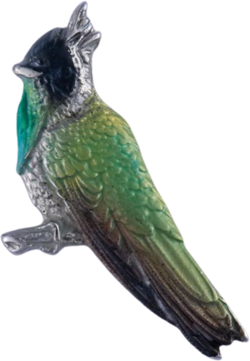 Pin Colibrí chivito