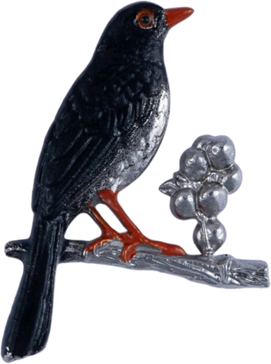 Pin Mirla patinaranja